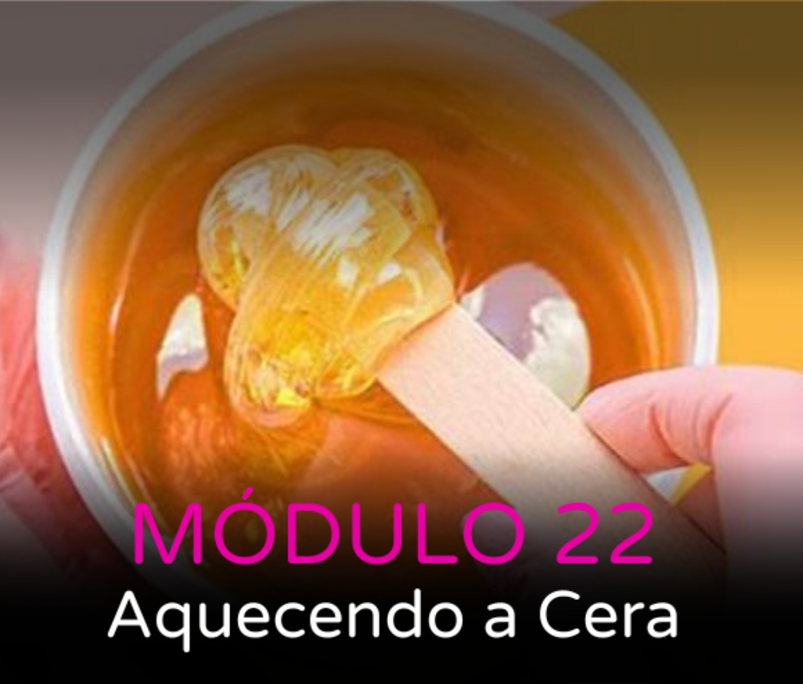 MODULO22