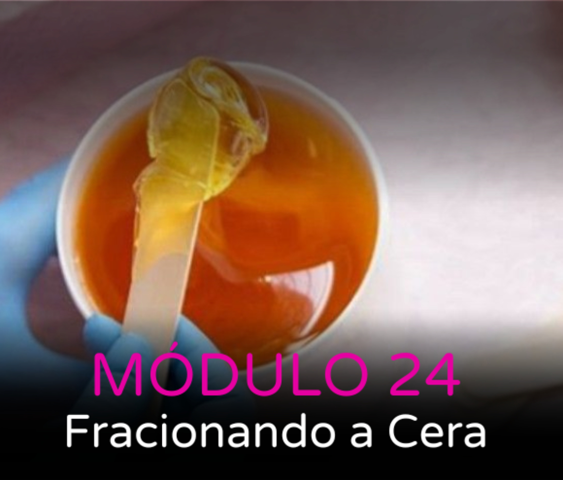 MODULO24